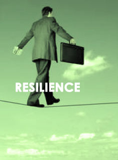 Resilience - Prof. Victoria Andrea Mu&ntilde;oz Serra