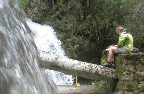 C&aacute;tedras Metodolog&iacute;a de la Investigaci&oacute;n - Victoria Andrea Mu&ntilde;oz Serra