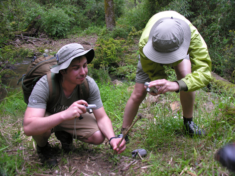 Cursos Metodolog&iacute;a de la Investigaci&oacute;n - Victoria Andrea Mu&ntilde;oz Serra